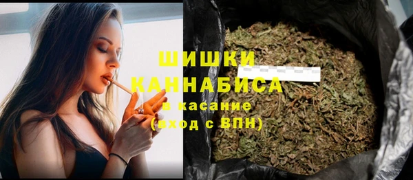 твердый Верхний Тагил