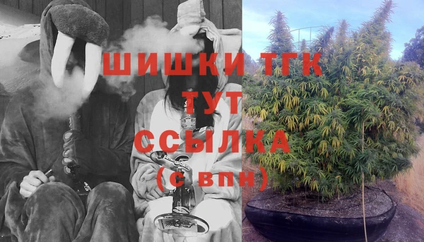 твердый Верхний Тагил