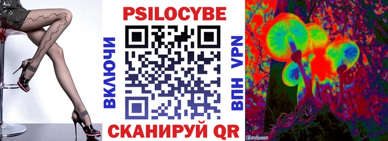 Псилоцибиновые грибы Psilocybe  Глазов 